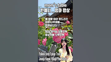 빈예서 엄마 밥상 BIN YE SEO Mom S Table Kpop韓國歌謠 