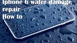 Professional IPhone 6 Water Damage Repair