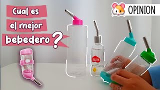 Que bebedero es mejor para hámster 🐹 ¿Cómo dar agua a un hámster? by Pequeños Roedores 990 views 1 month ago 9 minutes, 19 seconds