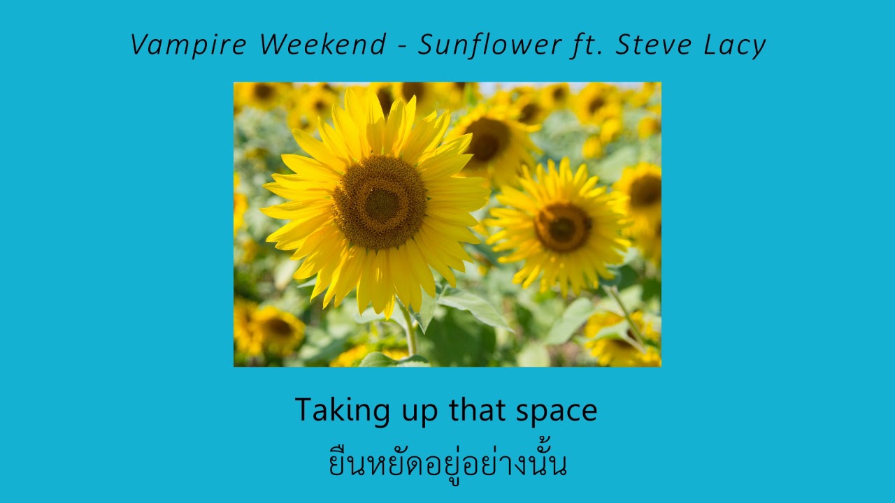 [แปลเพลง] Vampire Weekend Sunflower ft. Steve Lacy YouTube