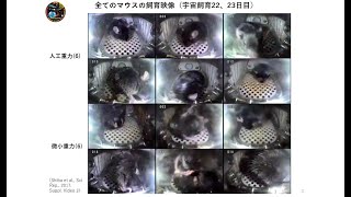4)宇宙のマウス 高橋 智(筑波大学)