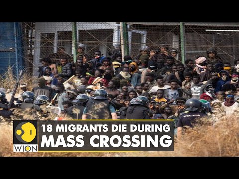 18 migrants die in mass attempt to reach Spain's Melilla | International News | English News | WION