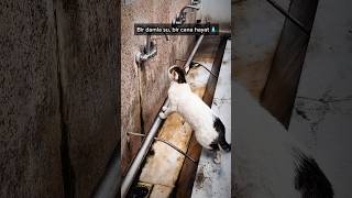 Bir Damla Su, Bir Cana Hayat 💧 Resimi