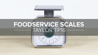 Taylor 608K16SS 16 oz. Scale