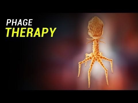 Video: Polyvalent Purified Pyobacteriophage - Instructions For Use, Price