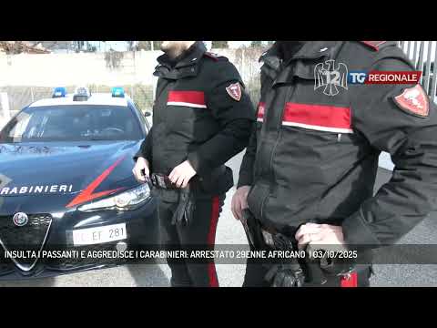 INSULTA I PASSANTI E AGGREDISCE I CARABINIERI: ARRESTATO 29ENNE AFRICANO  | 03/10/2025