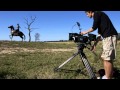 Horse Riding Show Reel