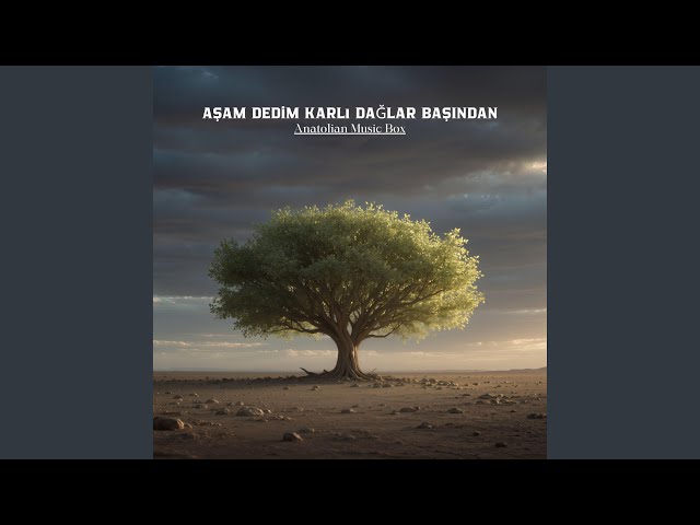 Aşam Dedim Karlı Dağlar Başından