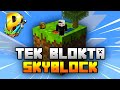 Para Sıkıntısını Çözdük ! | Tek Blok Skyblock (Provanas)