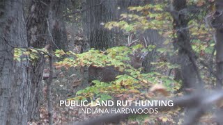 Hardwoods Rut Hunting - BIG BUCKS - Indiana - Public Land Indiana Public Land Success And Heartbreak Multiple Big Bucks