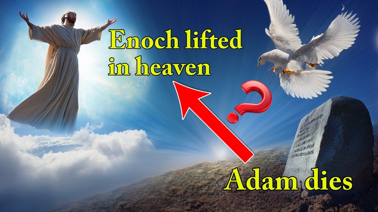 Enoch's Rapture to Heaven is God's Response to Adam's death