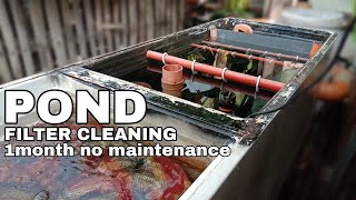 DIY POND FILTER cleaning maintenance by Nilo Nieves 1,577 views 6 months ago 11 minutes, 16 seconds