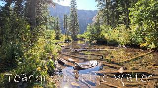 Tears in the Water | The Quiet Beauty of Autumn in Montana