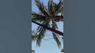 وَأَمَّا الَّذِينَ سُعِدُوا فَفِي الْجَنَّةِ خَالِدِينَ فِيهَا (108) | سورة هود