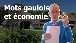 Mots gaulois et vie économique - Jacques Lacroix