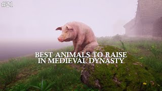 Best Animals To Raise in Medieval Dynasty