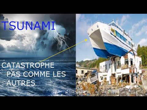 Vidéo: 200 Mètres De Haut: Un Tsunami Que Personne N'a Remarqué - Vue Alternative