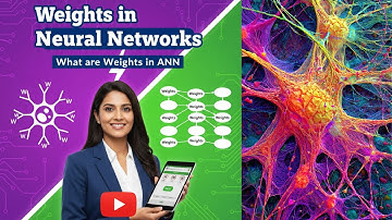 Weights in Neural Networks | What are Weights in ANN | Role of the Weights in Neural Networks