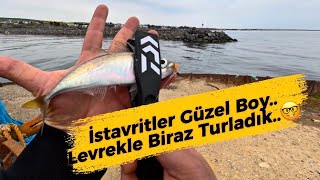 Tekirdağ Nato Limanında Lrf Ile Levrek Gezdirdik Ve İstavrit Denemelerine Başladık