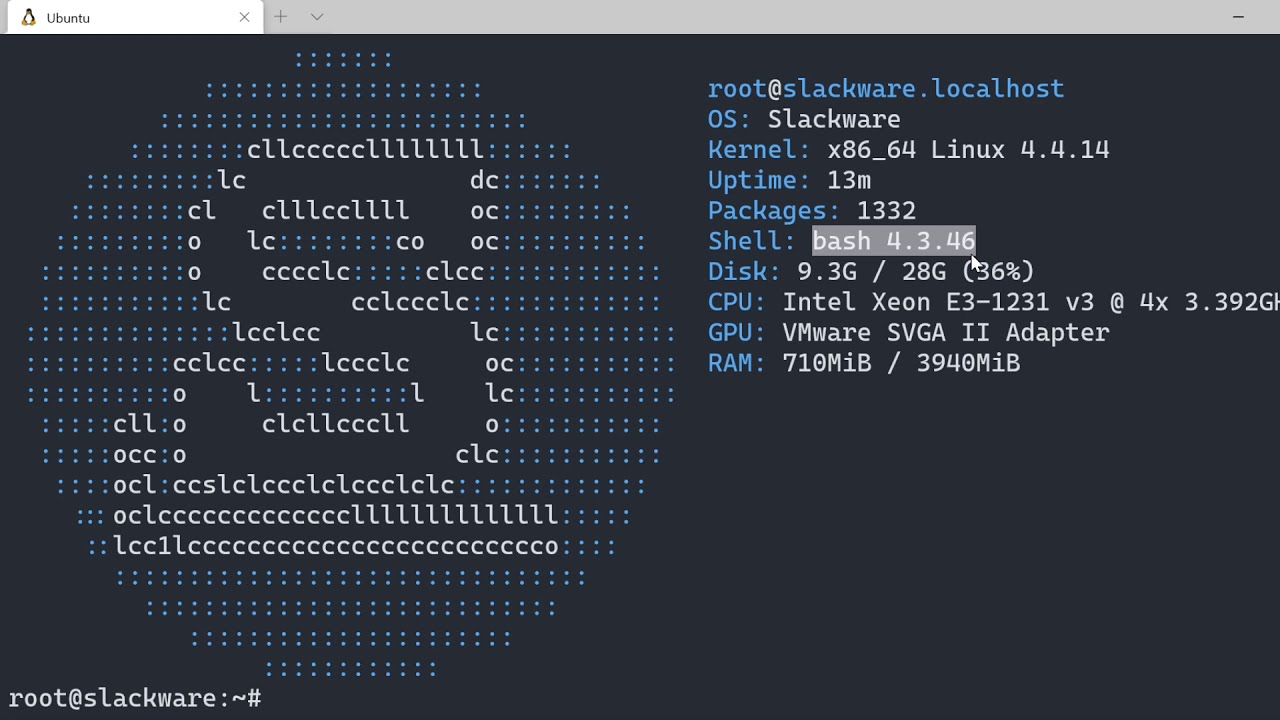 VirtualBox 6.1에 Slackware 14.2 설치하기