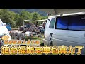 老車也能拖著尾車上海下海~這台2 0手排太強了1