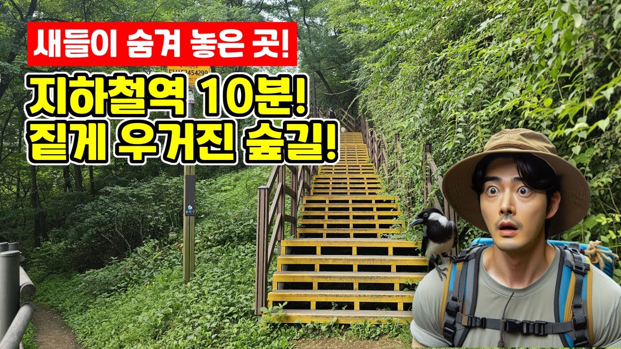 🐦︎새들이 숨겨 놓은🚶🏻걷기 좋은🌲도심 숲길 | ‍트레킹 코스 | 도심산책 | 서울산책 | 대중교통 당일치기 여행ㅣ지하철 여행ㅣ