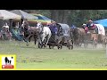 Classic Wagon Races - What About Bob Chuckwagon Races 2022 |  Saturday