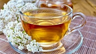 Drink Yarrow Tea For 7 Days, THIS Will Happen To Your Body!