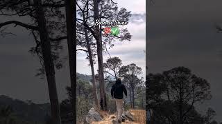 Born To Shine 💯✅ Diljit Dosanjh Punjabi Latest Song #shorts #viral