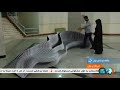Iran Hossein Moradi Architecture designs for Urban Furniture حسين مرادي طراح مبلمان شهري ايران Iran Hossein Moradi Architecture designs for Urban Furniture حسين مرادي طراح مبلمان شهري ايران