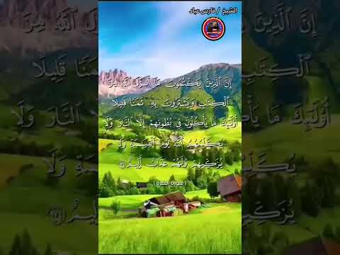 الشيخ فارس عباد