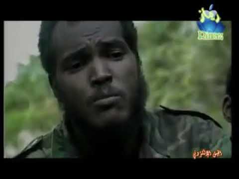 الحركة الاسلامية السودانية 