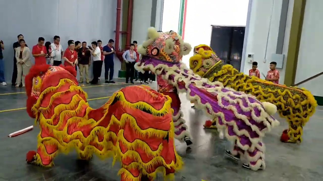 Philippine fánróng dragon & lion dance group at Yuto Packaging Technology Philippines Corp.