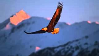 Video thumbnail of "Tangerine Dream   White Eagle"