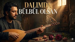 Bağımda Gülüm Olsan - Damar Anadolu Türküsü