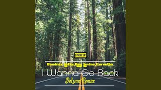 I Wanna Go Back (DeLura Live Instrumental Mix)