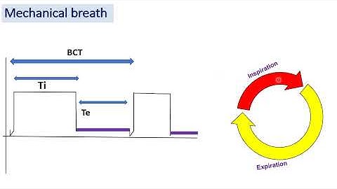 3- Essential Variables & Phases of the mechanical breath