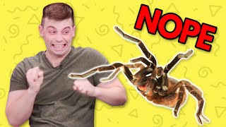 GIANT SPIDER PRANK