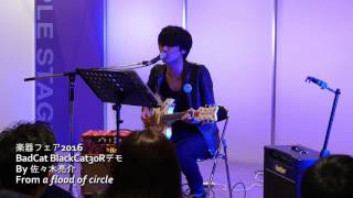 a flood of circle』の佐々木亮介さんの魅力や機材についてご紹介して