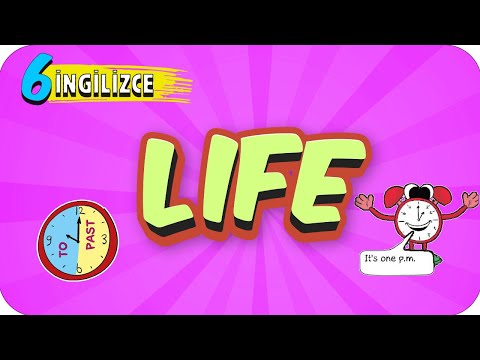 6. Sınıf İngilizce: Life #2022