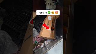 Can I save these trees from the dumpster? #dumpsterdiving #tree #trees #plants