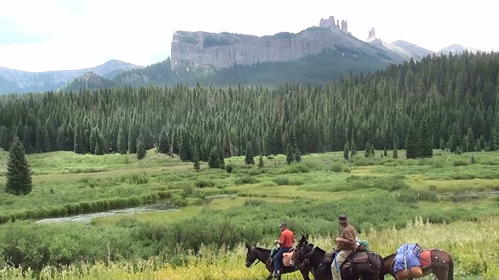 Gaited Mules - 2021 Colorado Trail Ride