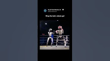 Robot Boxing Match Ends With a Shocking Knockout!