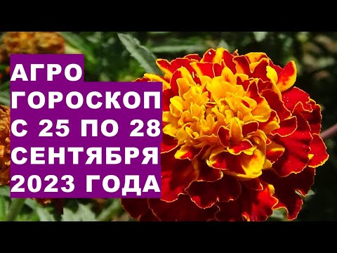 Агрогороскоп с 25 по 28 сентября 2023 года. Agrohoroscope from September 25 to 28, 2023