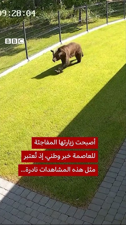 ..          
 - نشر قبل 26 دقيقة