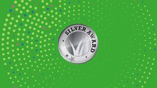 BHGRE® Excellence Awards: Silver Award