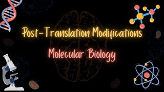 Post-Translational Modifications _ تعديلات مابعد الترجمة _ Molecular Biology _ تعلم بالعربي