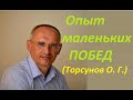 Торсунов О. Г. Опыт маленьких побед. Что это такое, и как это использовать в жизни.