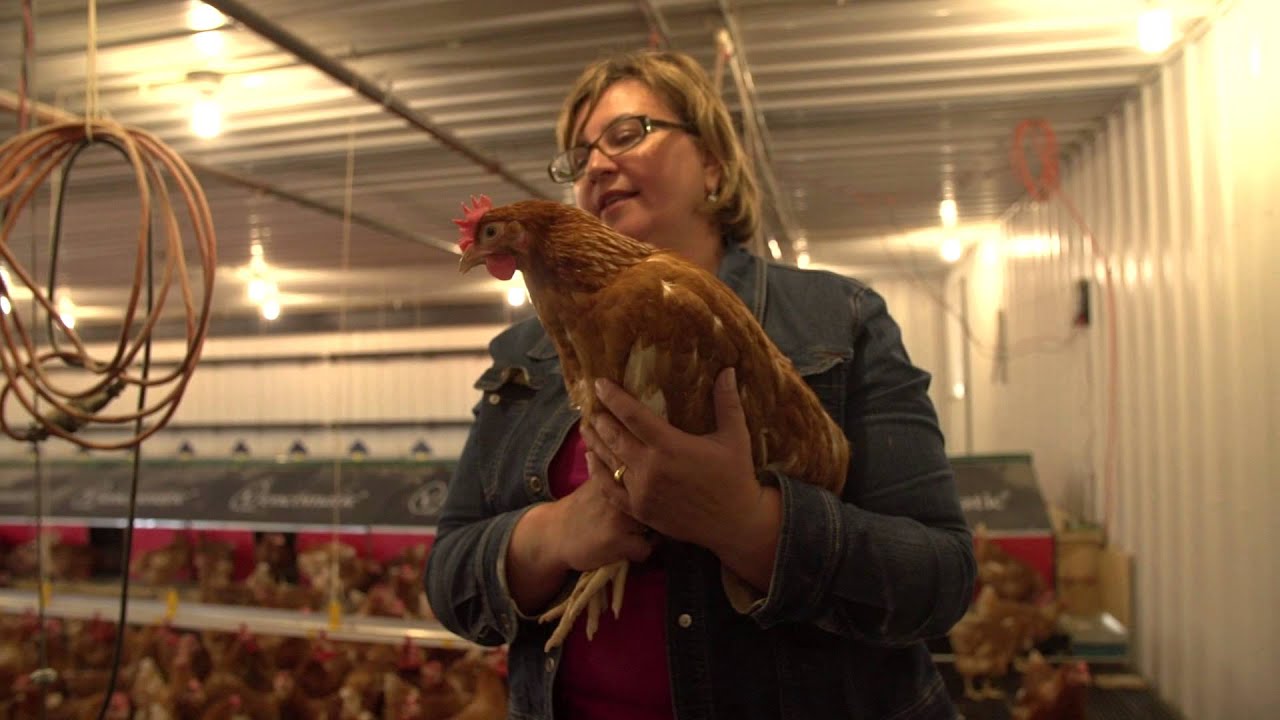 agriculture industry in australia Susan Schafers, STS Farms