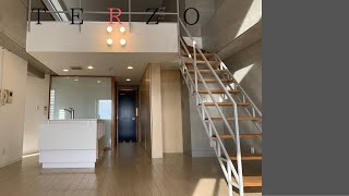 【浜松市中区竜禅寺町 TERZO 07号室】